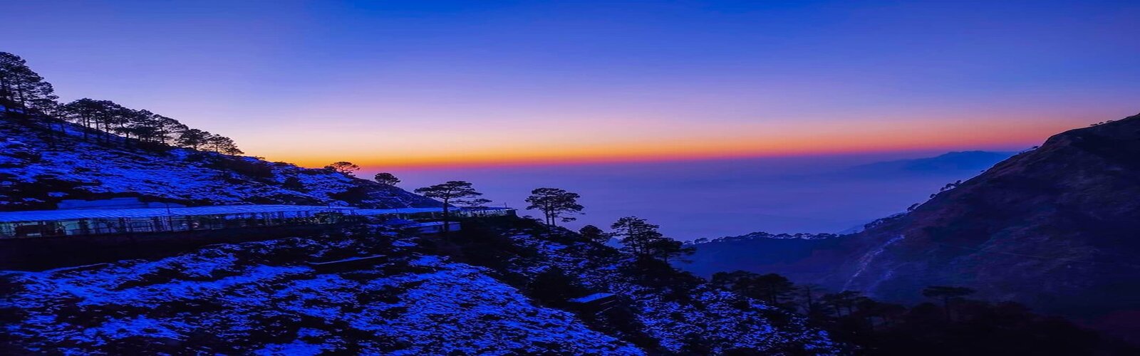 best Travel Agent in Katra